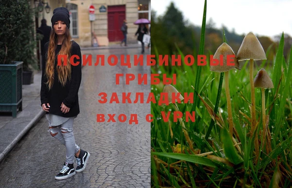 a pvp Алзамай