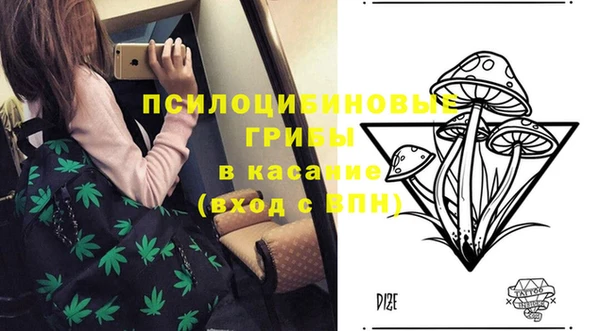 a pvp Алзамай