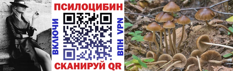 ссылка на мегу как войти  продажа наркотиков  Салехард  Галлюциногенные грибы GOLDEN TEACHER 