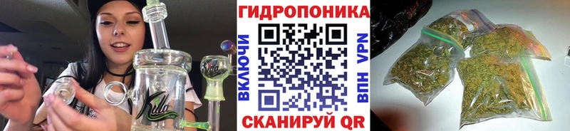 Канабис SATIVA & INDICA цены наркотик Салехард